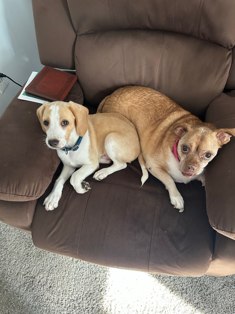 Melody and Enzo